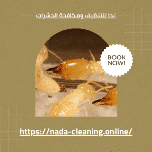 شركة مكافحة الرمة في العين 0569432084 دليلك الشامل للتخلص من الرمة