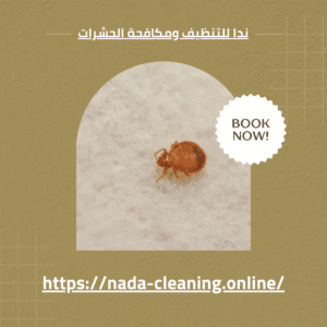 شركة مكافحة البق في العين 0569432084 الحل الأمثل لراحة منزلك