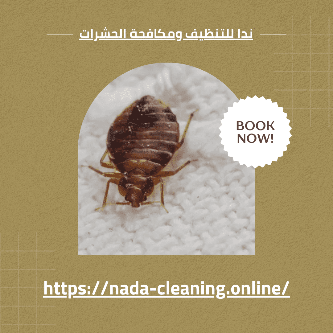 شركة مكافحة البق في العين 0569432084 الحل الأمثل لراحة منزلك